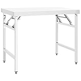 TECHPO Küchentisch Klapptisch Arbeitstisch 100x60x80 cm Edelstahl mit Farbe: Silber