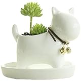 YWSTYllelty Übertopf 25 cm Durchmesser Anthrazit Blumentopf, Schreibtisch, Sukkulente, Zuhause (Hund), dekorierte Pflanze, niedliches Tier, Dekoration und Aufhänger Ton Blumentopf (White-6, One Size)