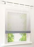 BAILEY JO Voile Raffrollo mit Verlauf-Farben Muster Schlaufen Gardine Transparent Vorhang (BxH 120x140cm, grau)