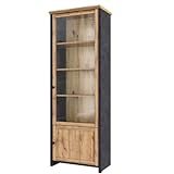 ok-living OKL Vitrinenschrank Bücherschrank Nikki klassisches Design 200x71cm Standvitrine Stauraum Glasschrank mit vielen Fächern Aufbewahrung Eiche GRau