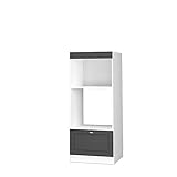 Vicco Küchenschrank Küchenmöbel Fame-Line Landhaus Küche Einbauküche Küchenzeile Blende Unterschrank Hochschrank Hängeschrank (Weiß-Anthrazit-Gold, Mikrowellenumbauschrank 60 cm offen)