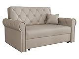 Mirjan24 Sofa Viva Roma II mit Schlaffunktion, 2 Sitzer Polstersofa mit Bettkasten inkl. Kissen, Schlafsofa, Bettsofa, Wohnlandschaft, Farbauswahl, Sofagarnitur (Paros 02)