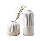 Keramik Vase Weiß Matt, Vase Für Pampasgras, Grosse vase hoch mit Rillen Weiß Blumenvase Modern Vasen Deko Trockenblumen Büro Fensterbank Deko (Size : 2PCS)