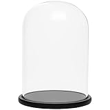 BELLE VOUS Glas Glocke Glaskuppel Groß mit Holzboden Schwarz – 30cm Dekorative Glashaube als Tischdeko, Deko Glas Kuppel Transparent Glasglocke, Glass Dome Cloche mit Boden für Lichter, Deko