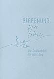 Begegnung fürs Leben, Kunstleder: Die Studienbibel für jeden Tag (Neues Leben. Die Bibel)