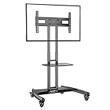 Ergosolid NB AVA1500B Standfuß mit Rollen, verstellbar, für LCD/LED/Plasma-TV bis 45,5 kg, Schwarz