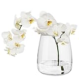 TREND FOR HOME Blumenvase 17 cm Vase Glas Glasvase für Blumen Glasblumenvase Tischvase Dekovase Klarglasvase Deko-Vase aus Glas Wohnzimmer Deko Dekorative Vase | 2310 ml | Zinnia