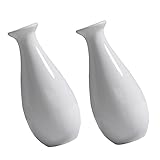 EXCEART 2 Stück Hydrokultur-Trockenvase Bodenvase Desktop-Dekoration Adorno para Mesa De Porzellanvasen Mini-Blumenvase Hydrokultur-Vase Zarte Vase Arbeitsplattenvase Weiße