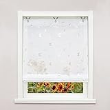 Delien Raffrollo ohne Bohren mit Ösen Transparente Raffgardine Kurzvorhang Ösenrollo Schals »Schmetterling« Küche Store Fenster Wohnzimmer Gardine 1 St. BxH 100x130cm,Silber