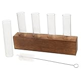 TIDTALEO 1 Set Hydrokultur-Glasvase Klare Flasche Blumen-Mittelstücke Blumen-Pflanzen-Vermehrungsrohr-Gestell Hydrokultur-Pflanzenvase Pflanzen-Vermehrungsrohre Wasservase