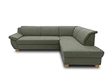 DOMO Collection Ecksofa Panama, klassisches Ecksofa in L-Form, Eckcouch, Sofa Couch, Ecke 254 x 186 cm in grün