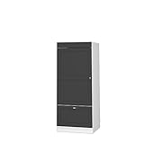 Vicco Küchenschrank Küchenmöbel Fame-Line Landhaus Küche Einbauküche Küchenzeile Blende Unterschrank Hochschrank Hängeschrank (Weiß-Anthrazit-Gold, Mikrowellenumbauschrank 60 cm)
