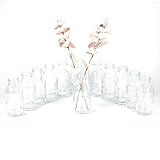 gouveo 12er Set Glasvasen Vase Mini 100 - Runde Blumenvasen aus Glas - Kleine Deko-Vasen für Zuhause, Hochzeiten, Geburtstage, Feste