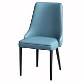 FAiruo lyf Küche Nappaleder Esszimmerstuhl Küche Wohnzimmer Lounge Theke Stühle stabile Karbonstahl Metallbeine (Farbe: Hellblau)