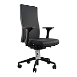 TREND OFFICE Trendoffice to-Strike Comfort pro sk 9248, Testsieger Stiftung Warentest, ergonomischer Bürostuhl mit 4D-Armlehnen, höhenverstellbare Rückenlehne, by Dauphin (grau)