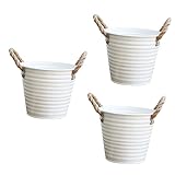 YARNOW 3 Stück Seil-Blumentopf Aus Blech Metallvase Weiße Heimdekoration Vintage-Heimdekoration Shabby-Chic-Krug Vase Bauernhaus Dekorativer Krug Eimer Sukkulenten-Übertopf