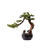 Künstlicher Bonsai Simulation Begrüßung Kiefern Ornamente Künstliche Podocarpus Bonsai gefälschte grüne Pflanzen Zen -Topf Veranda for Teeber und Schreibtisch, Halledekoration Zimmerbonsai Bonsai