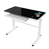 ATLASIO Elektrisch höhenverstellbarer Schreibtisch 120x60 cm mit Wireless Charger & Timer, Computertisch höhenverstellbar mit Touchpad & USB, SHD Limited Edition in schwarz-weiß