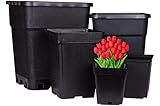 Weedness Blumentopf Kunststoff 11 Liter 24x24x28 cm Eckig in Schwarz für Innen & Außen - Topf Pflanzentopf Pflanzgefäß Pflanzkübel Anzuchttopf Blumenkübel Balkon Garten