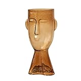 Kreative Gesicht Kunst Vase Wohnzimmer Blumenarrangement Tischdekoration Nordic Glasvase Kleine Vase (Color : Brown, Size : 32 * 16cm)