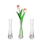 Glasseam Blumenvase Modern Glasvasen Schmal: 3er 20cm Hoch Blomus Vase Glas Set Handmade Schmale Vasen Tischdeko Wohnzimmer Esstisch Tulpenvase Dekovase für Pampasgras Tulpen Rose Hochzeit Deko