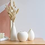 Deko Vase Beige 3er-Set，Keramik Vase Beige Boho Kleine Vasen für Dekor, für Dekor, Moderne rustikale Bauernhaus Home Decor, Dekorative Vasen für Pampas Grass Idee Regal (Color : Beige)