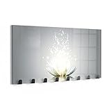 DEQORI Wandgarderobe Glas & Metall | Motiv Funkelnde Lotusblüte | 60x30 cm | Design Haken-Leiste modern | Garderoben-Paneel für Flur, Wohnzimmer & Schlafzimmer | magnetisch & beschreibbar