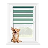 MARDOM Doppelrollo - Rollos für Fenster Ohne Bohren - Duo Rollo Tag und Nacht - Rollo Ohne Bohren - Doppelrollo Klemmfix, Fensterrollo Innen (Türkis, 42.5x140 cm (Stoffbreite: 38.5))