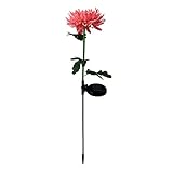 Mumuj Sonnenlicht LED-Licht Gartenblumensimulation Plug-in Outdoor-Rasen Wohneinrichtung Silberne Dekoartikel (Red, One Size)