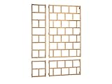 robinia-pro Wand-SPALIER klassisch aus Robinienholz - B 105 cm, H 57 cm (Rankgitter, Spalier, Wandspalier, Rankgerüst, Rosenspalier, Himbeerspalier, Robinie, Holz)
