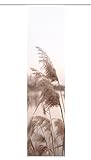 HOME WOHNIDEEN 84125 | Schiebegardine TRAWY, blickdichter Dekostoff, Gras-/Natur-Motiv, 245 x 60 cm (Höhe x Breite), Farbe: Natur
