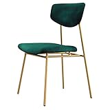 Esszimmerstuhl Amrai-Chairs Stuhl für Esszimmer Esszimmerstuhl Samtweiche Rückenlehne & Kissen Seitenstuhl Freizeit Home Rückenlehne Hocker Metallbeine für Wohnzimmer, Terrasse, Terrasse, Büro, Küche,