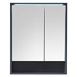 LUCERA Spiegelschrank Bad mit LED-Beleuchtung in Grau matt - Badezimmerspiegel Schrank mit viel Stauraum - 60 x 75 x 20 cm (B/H/T)
