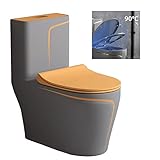 Stand WC mit Spülkasten Komplett, Toiletten mit Toilettensitz aus Duroplast mit Absenkautomatik Kloschüssel-A