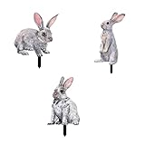 SZFRYEU Feen Tür 3D Hase Acryl Bodeneinsatz Garten Outdoor Urlaub Dekoration Einsatz Gartendeko Edelstahl Figur (Grey, One Size)