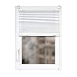 Plissee (90cm x 150cm) Klemmfix - ohne Bohren - Jalousie zum Klemmen, lichtdurchlässig Aber Blickdicht, Easyfix Faltrollo Rollo für Fenster & Tür