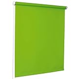 ROLLMAXXX Standard-Rollo Lichtdurchlässig Seitenzug Kettenzugrollo Tageslicht Sichtschutz (100 x 190 cm, Grün)