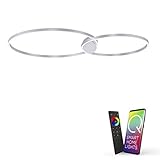 Paul Neuhaus Q-KATE 6590-95 LED Deckenleuchte, Alexa kompatibel Smart Home, dimmbar per Fernbedienung, warmweiß - kaltweiss, Ring