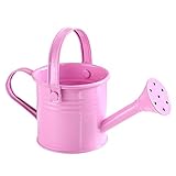 TRRAPLE Gießkanne aus Metall, für Kinder, Garten, Eisen, Gießkanne, Gießkanne, Wasserkessel für mit zwei Griffen, Gartenarbeit