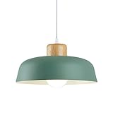 HJXDtech Nordic Modern Einfache Metall Pendelleuchte E27 Holz Lampenfassung 30cm pendellampe Hängelampe Lebendige Farbe Für Küche Schlafzimmer Lounge (Grün)