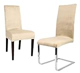 BEAUTEX 2er Set LEA Stuhlhusse, elastische Uni Stretch-Husse aus Samt Mikrofaser Farbe wählbar (Creme)