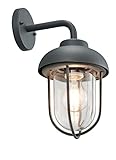 Trio Leuchten Außen Wandleuchte Duero 202760142, Aluminium Druckguss anthrazit, Glas klar, exkl. 1x E27