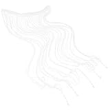 RUNROTOO Schnur-Draht-Vorhang-Trennvorhang Wandhaken Dekorativer Randbesatz Perlen-Türvorhang Faden-Bildschirmvorhang Türöffnung Fadenvorhang Raumteiler Vorhang Türvorhänge