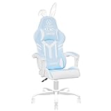 JOYFLY Kawaii Gaming Stuhl für Mädchen, Gamer Stuhl Gaming Sessel mit Lendenwirbelstütze Racing Stil PC-Stuhl Bürostuhl mit Hochlehner, Kopfstütze Lordosenstütze (Hellblau