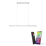 Paul Neuhaus, Q-Cora, LED Pendelleuchte, dimmbar mit Fernbedienung, Alexa-fähig, Smart Home, Pendellampe, CCT-Farbtemperatur einstellbar, 2700K-5000 Kelvin höhenverstellbar, stahl…