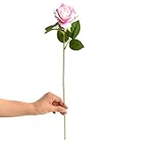 JJJ LHY- Gefälschte Blumen Künstliche rote Rose Einzel-Zweig Gefälschte Getrocknete Blumen-Plastik Blumenstrauß Esstisch Wohnzimmer Mode (Color : C)