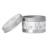 HEEPDD Duftkerze, Tragbar, Rauchfrei, Sojawachs, Brennt Gleichmäßig, Heim-Aromatherapie-Kerze für Esszimmer und Wohnzimmer (Blaues Windspiel mit silberner Box)
