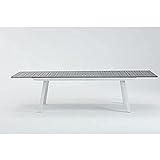 Dmora Ausziehbarer Aluminiumtisch Made in Italy, weiß und grau, 189 cm (ausziehbar bis 249 cm) x 100 x h75
