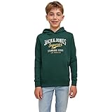 JACK&JONES JUNIOR Jungen JJELOGO Sweat Hood 2 COL 22/23 NOOS JNR Kapuzenpullover, Pine Grove, 176