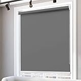 RYNS Verdunkelungsrollo Seitenzugrollo 120x200cm Lichtreflektion Lichtundurchlässig Doppelrollo Seitenzugrollo Doppelrollo Fensterrollo für Fenster und Türen,Anpassbar, Dunkelgrau